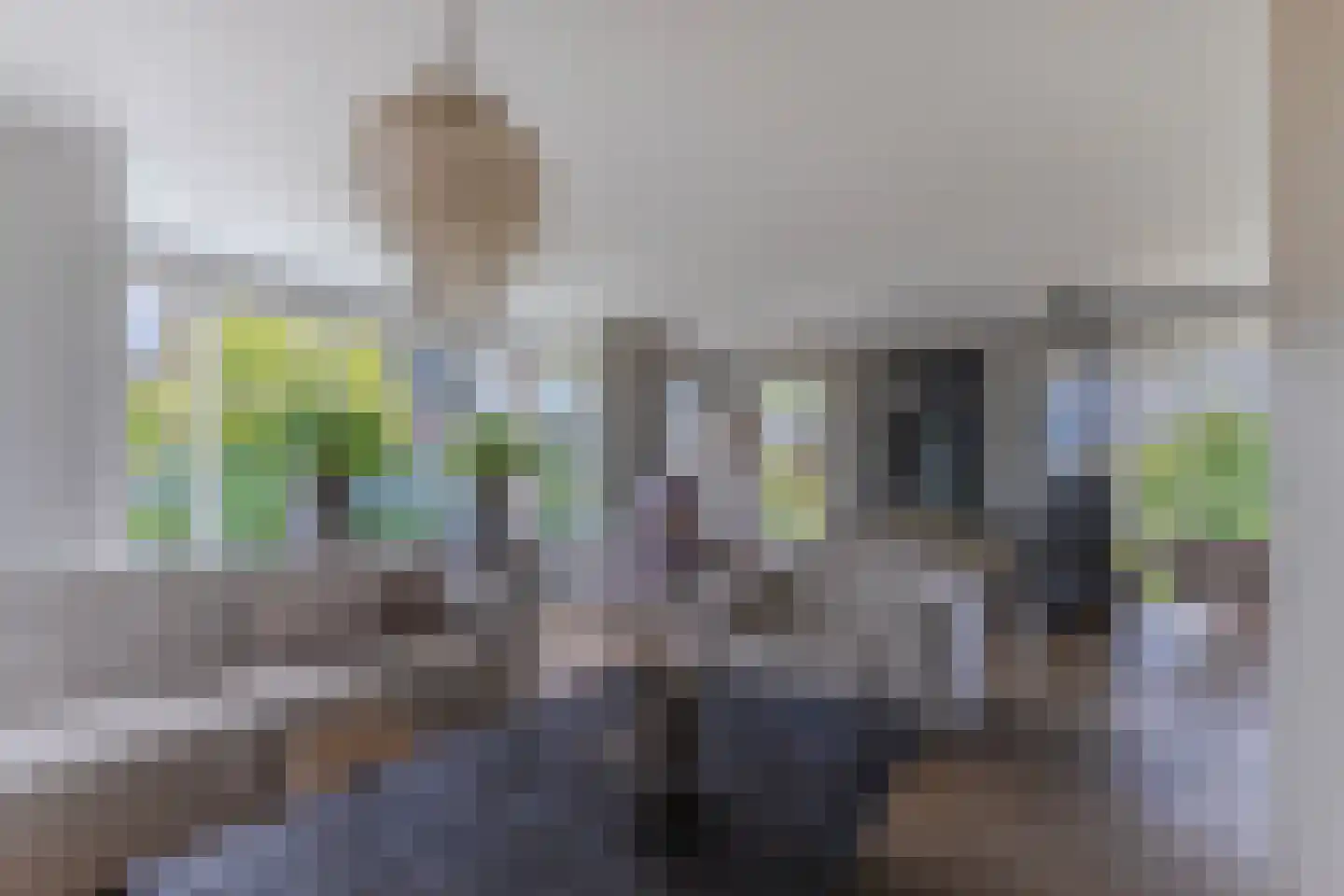Paardenbloem 21 Driel thumbnail 12