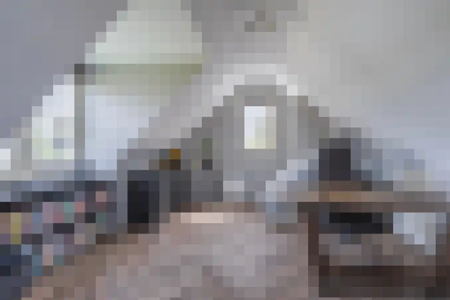Paardenbloem 21 Driel thumbnail 21
