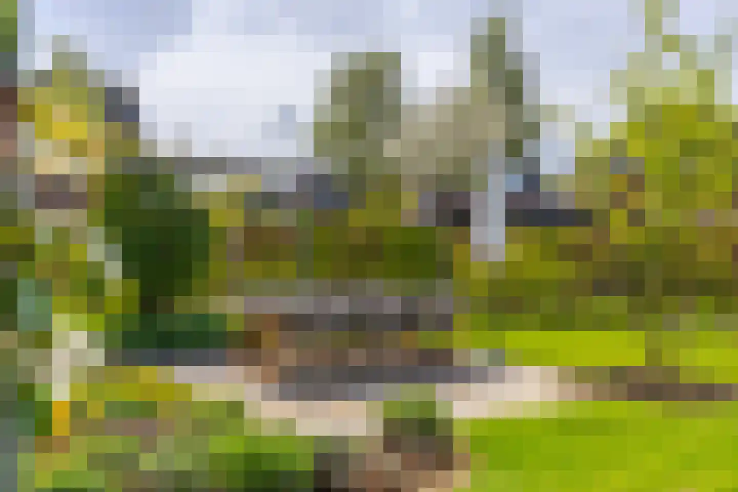 Paardenbloem 21 Driel thumbnail 34