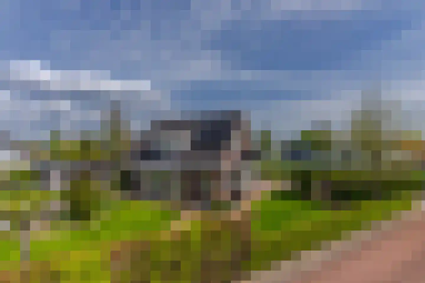 Paardenbloem 21 Driel thumbnail 36