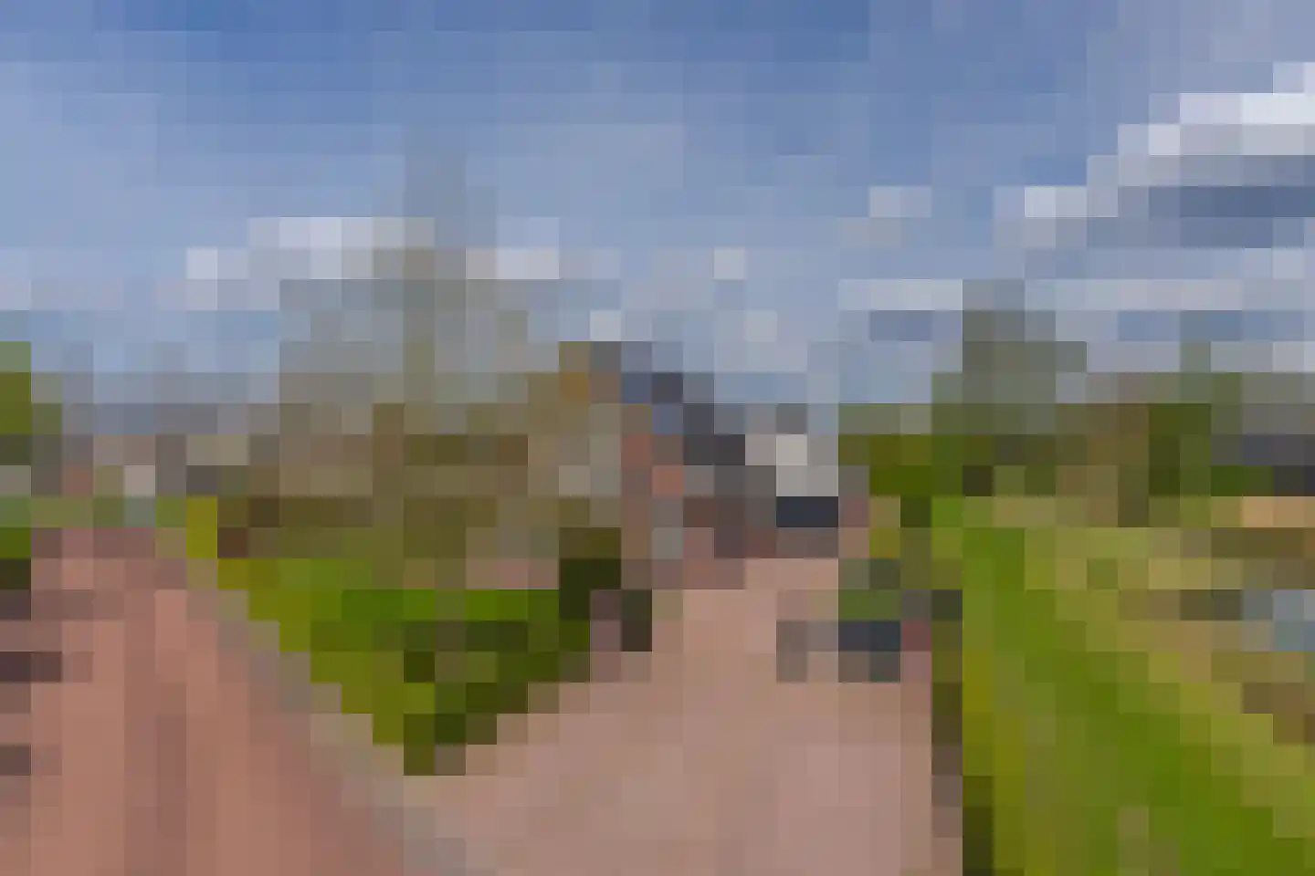 Paardenbloem 21 Driel thumbnail 37