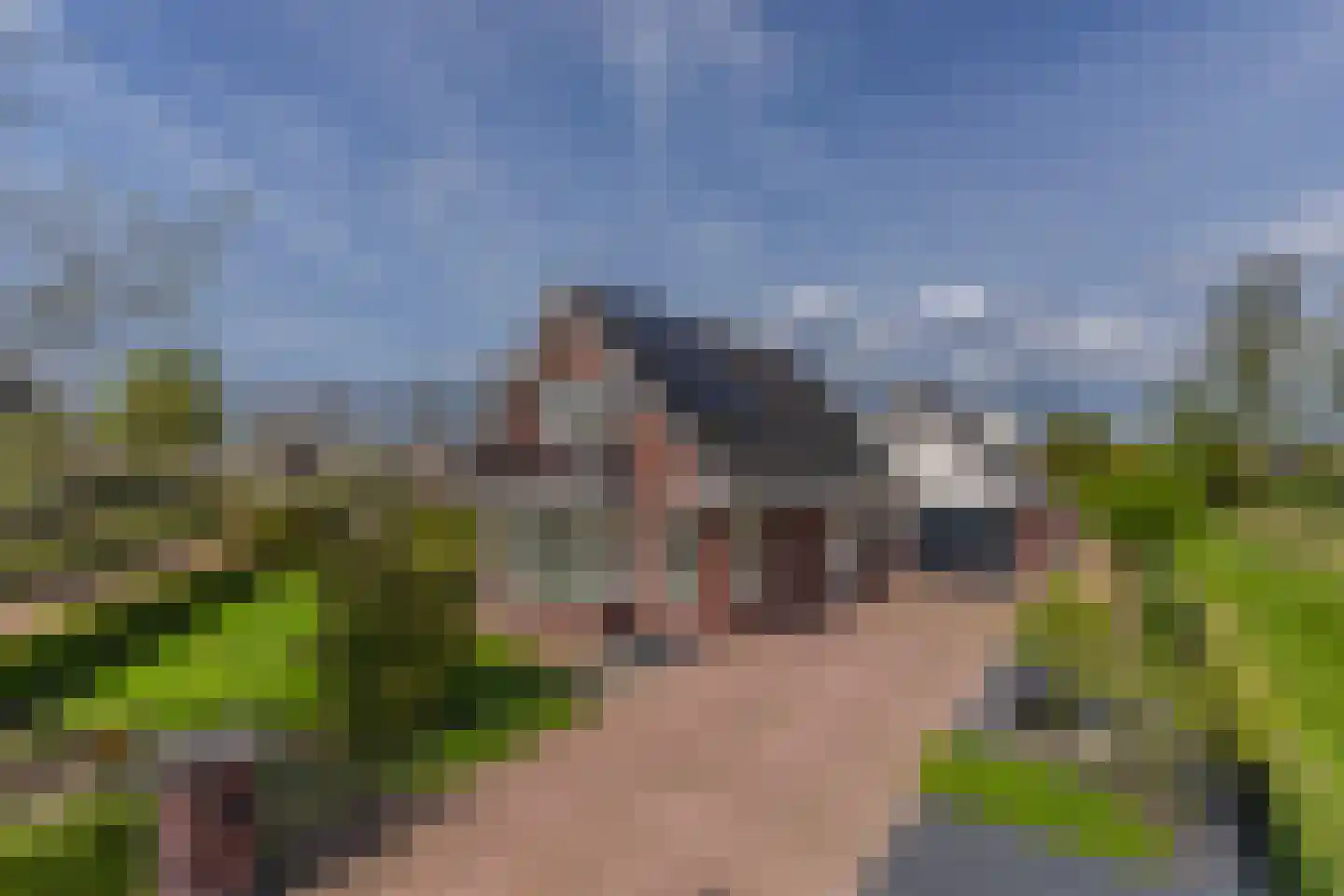 Paardenbloem 21 Driel thumbnail 38