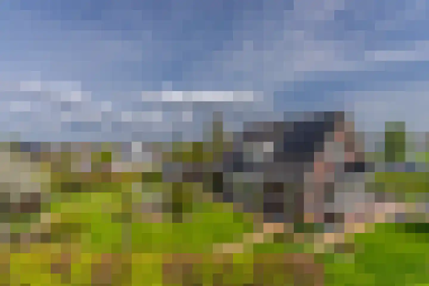 Paardenbloem 21 Driel thumbnail 5