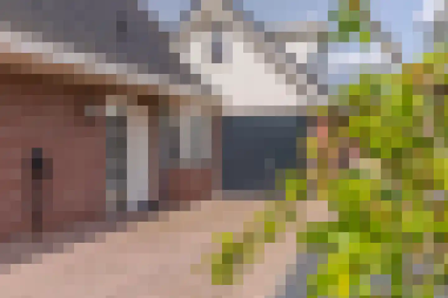 Paardenbloem 21 Driel thumbnail 7