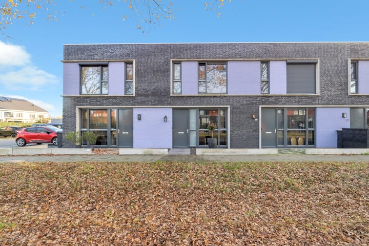 Paardenbloem 33 in Berghem foto