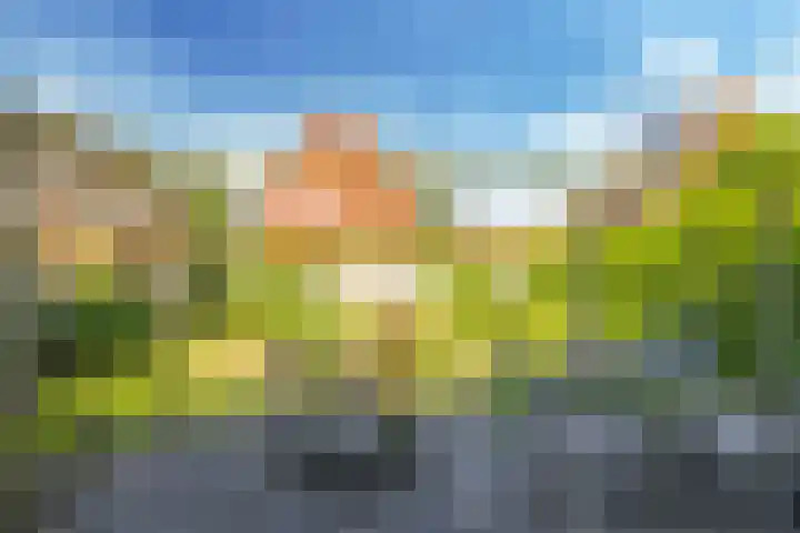Paardenbloem 62 Driel thumbnail 4