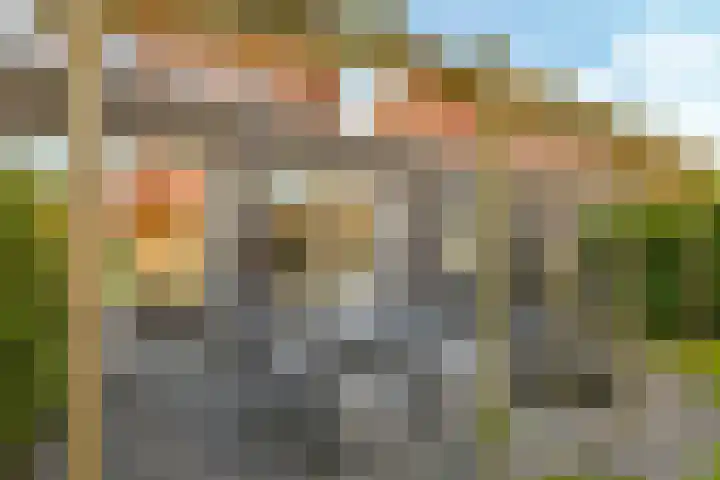 Paardenbloem 62 Driel thumbnail 47