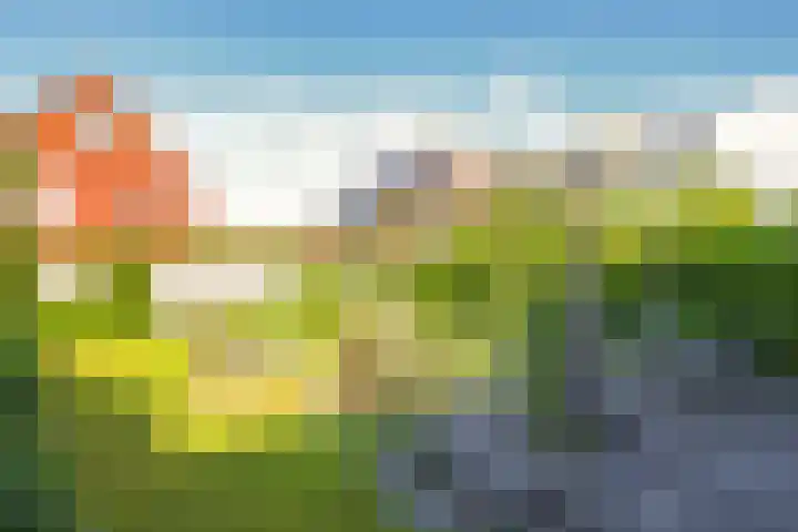 Paardenbloem 62 Driel thumbnail 50
