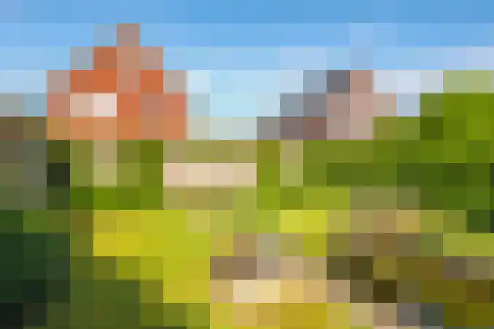 Paardenbloem 62 Driel thumbnail 53