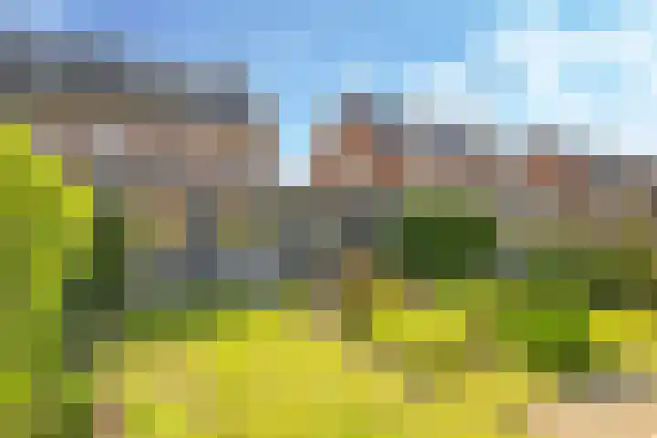 Paardenbloem 62 Driel thumbnail 58