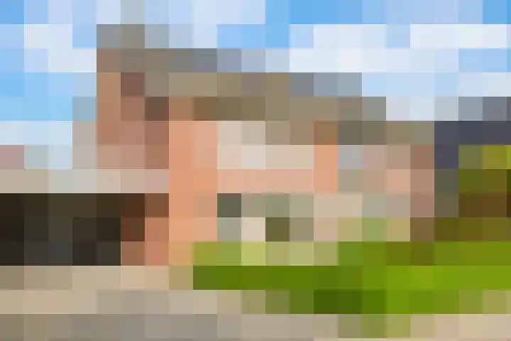 Paardenbloem 62 Driel thumbnail 6