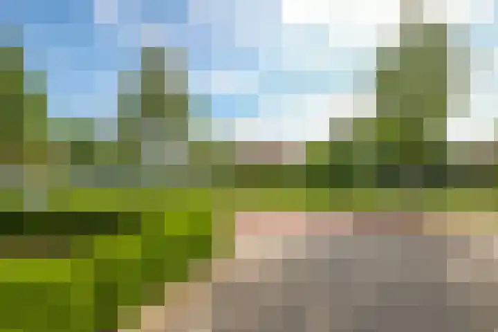 Paardenbloem 62 Driel thumbnail 62