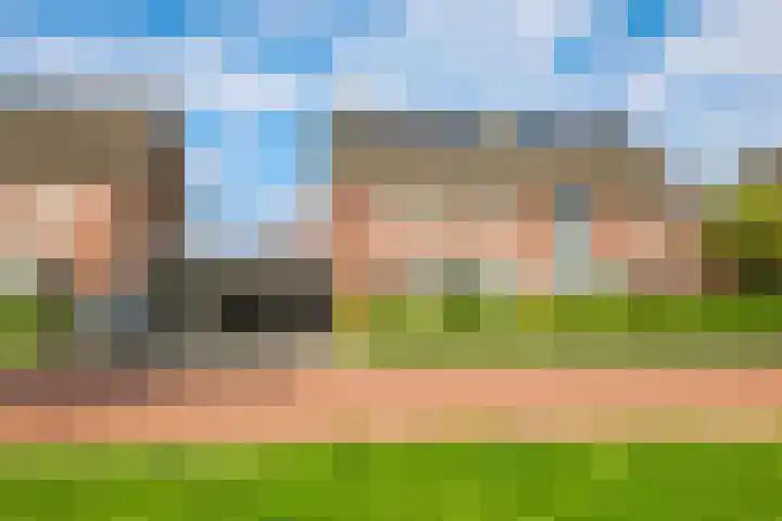 Paardenbloem 62 Driel thumbnail 64