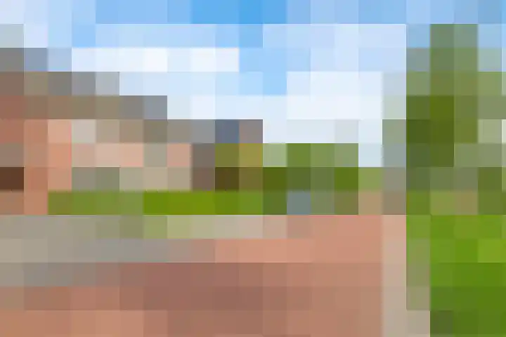 Paardenbloem 62 Driel thumbnail 65