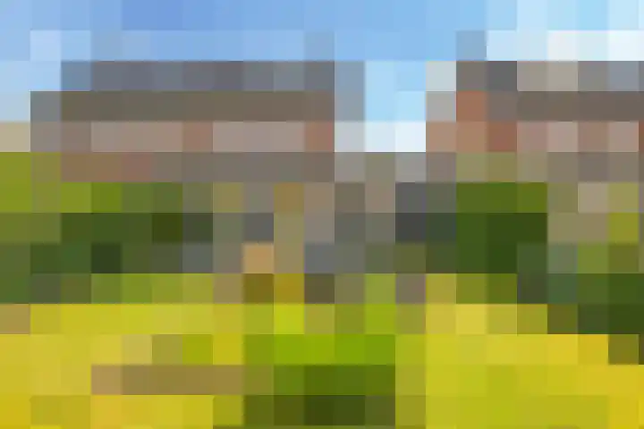 Paardenbloem 62 Driel thumbnail 70
