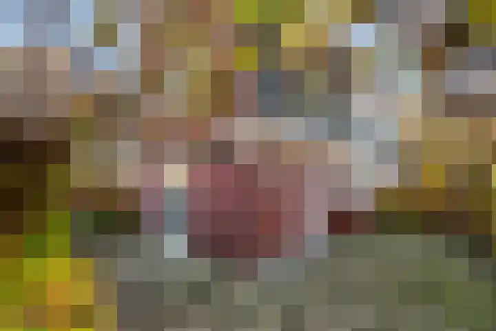 Paardenwei 23 Lunteren thumbnail 27