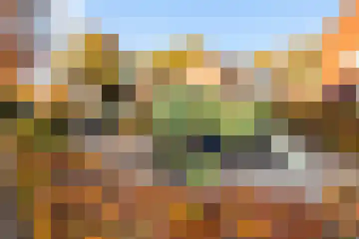 Paardenwei 23 Lunteren thumbnail 34