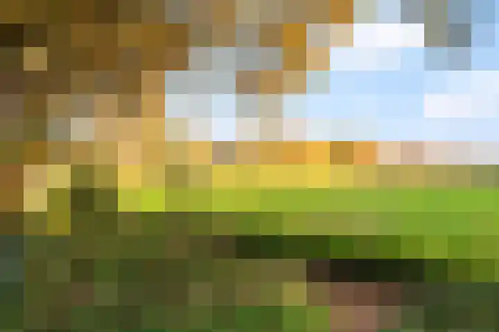 Paardenwei 23 Lunteren thumbnail 35