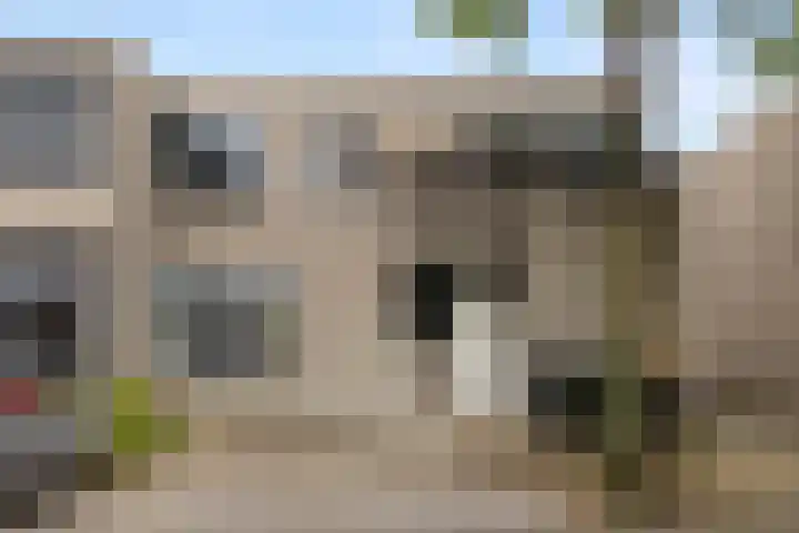 Paardenweide 34 en Zwaag