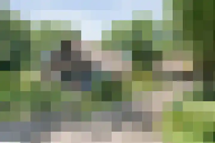 Paasloregel 114 Basse thumbnail 10