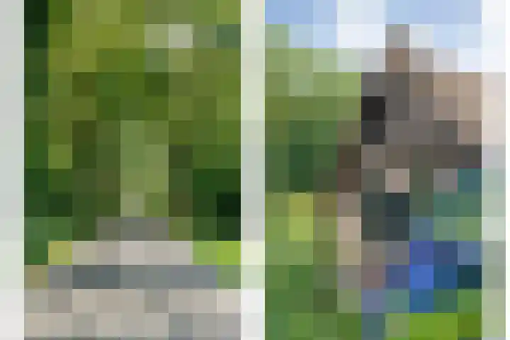 Paasloregel 114 Basse thumbnail 11