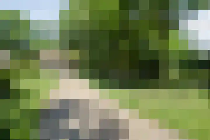 Paasloregel 114 Basse thumbnail 12
