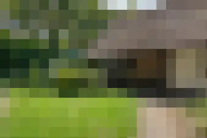 Paasloregel 114 Basse thumbnail 13