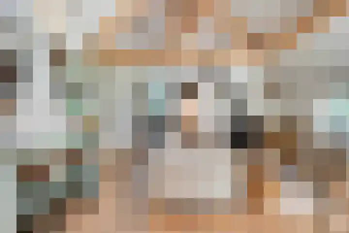 Paasloregel 114 Basse thumbnail 17