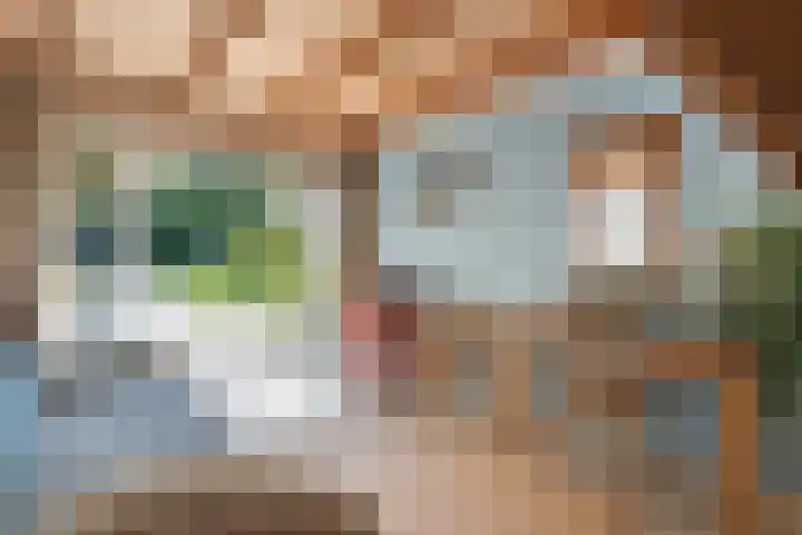 Paasloregel 114 Basse thumbnail 33