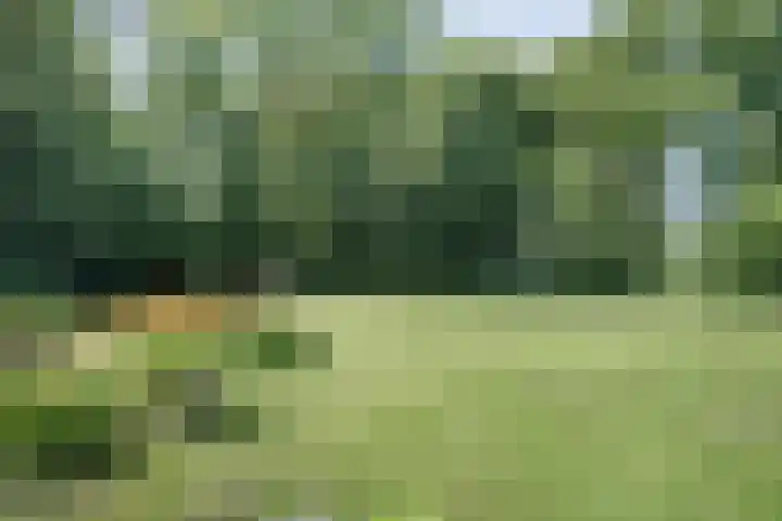 Paasloregel 114 Basse thumbnail 39