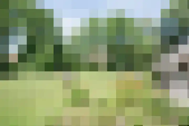Paasloregel 114 Basse thumbnail 40