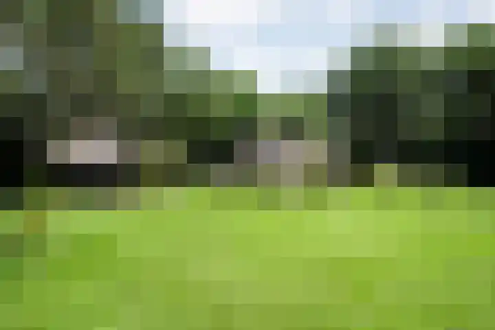 Paasloregel 114 Basse thumbnail 41