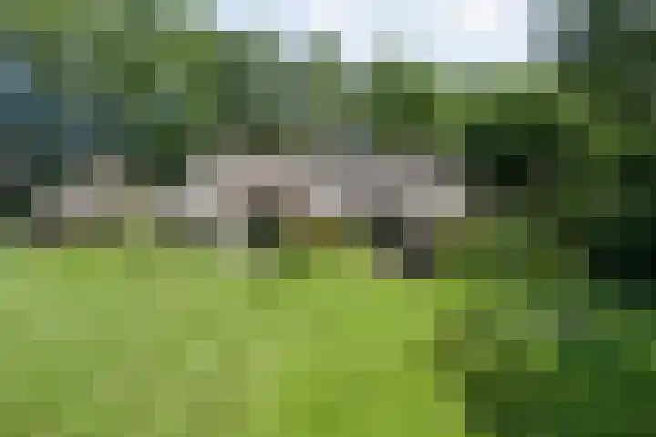Paasloregel 114 Basse thumbnail 42