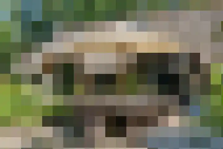 Paasloregel 114 Basse thumbnail 43