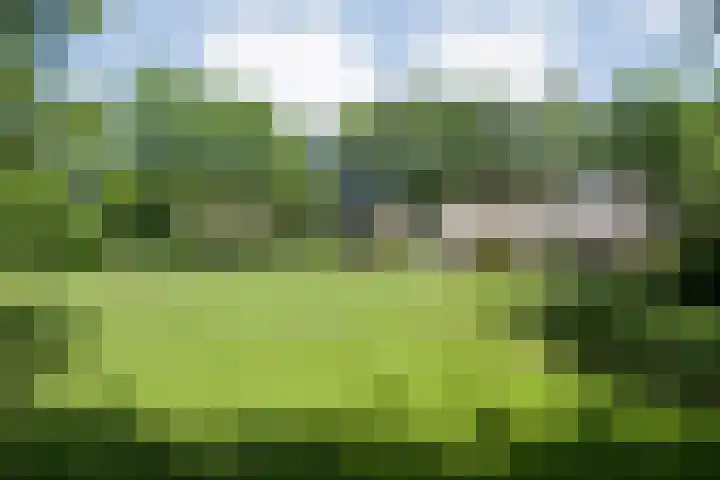 Paasloregel 114 Basse thumbnail 44