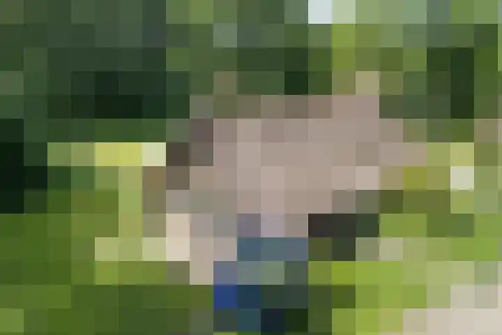 Paasloregel 114 Basse thumbnail 6
