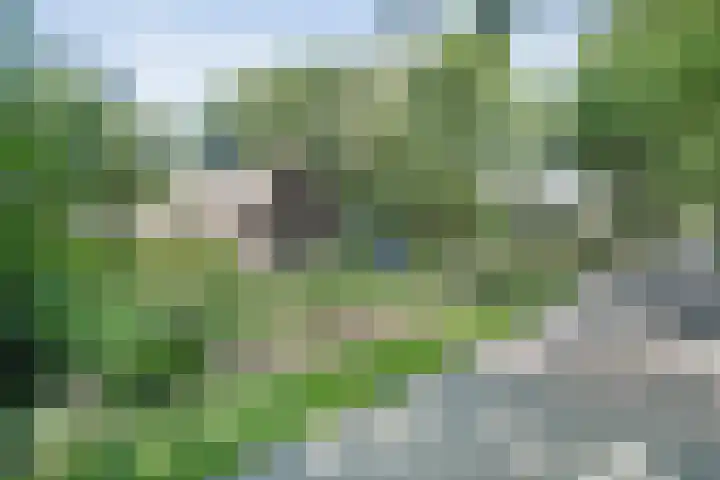 Paasloregel 114 Basse thumbnail 9