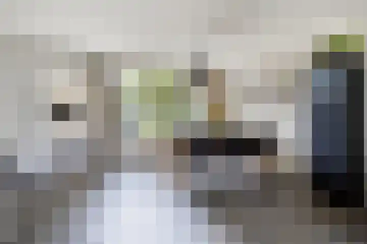 Pachthoeve 32 Berghem thumbnail 10