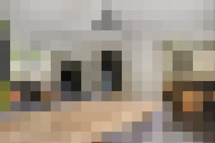 Pachthoeve 32 Berghem thumbnail 11
