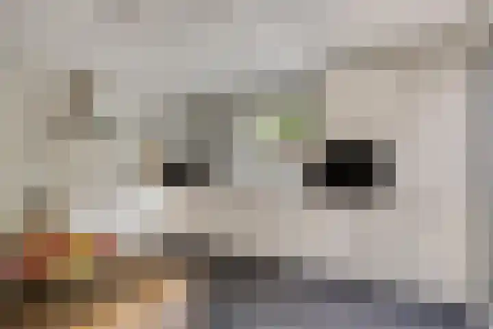 Pachthoeve 32 Berghem thumbnail 13