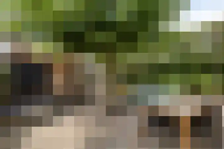 Pachthoeve 32 Berghem thumbnail 22