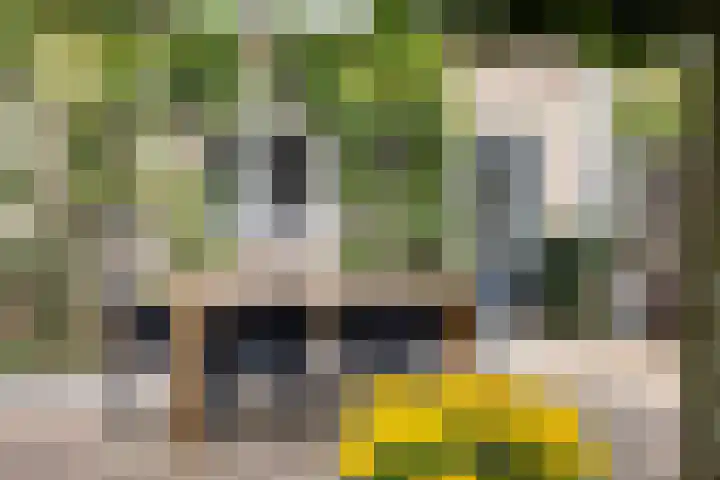 Pachthoeve 32 Berghem thumbnail 24