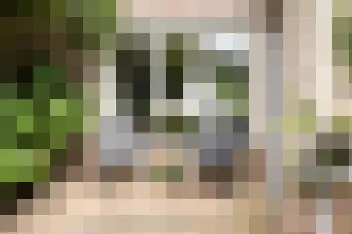 Pachthoeve 32 Berghem thumbnail 25