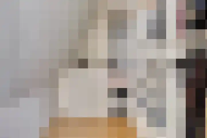 Pachthoeve 32 Berghem thumbnail 29