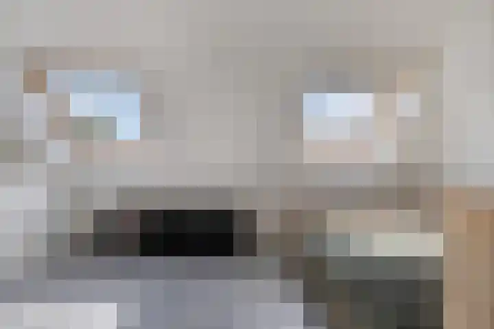 Pachthoeve 32 Berghem thumbnail 35