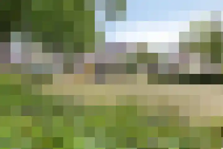 Pachthoeve 32 Berghem thumbnail 40