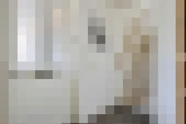 Pachthoeve 32 Berghem thumbnail 6
