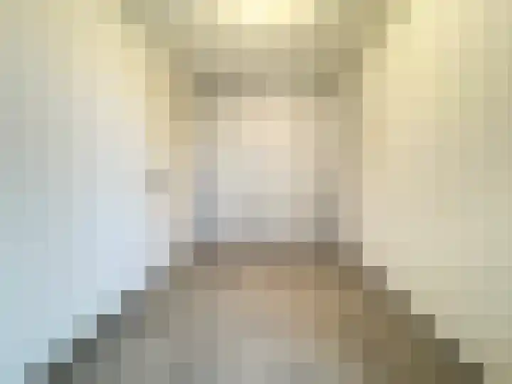 Padakkers 4 Hoogeloon thumbnail 18