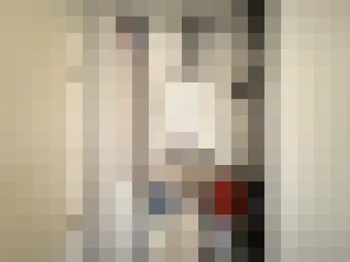 Padakkers 4 Hoogeloon thumbnail 19