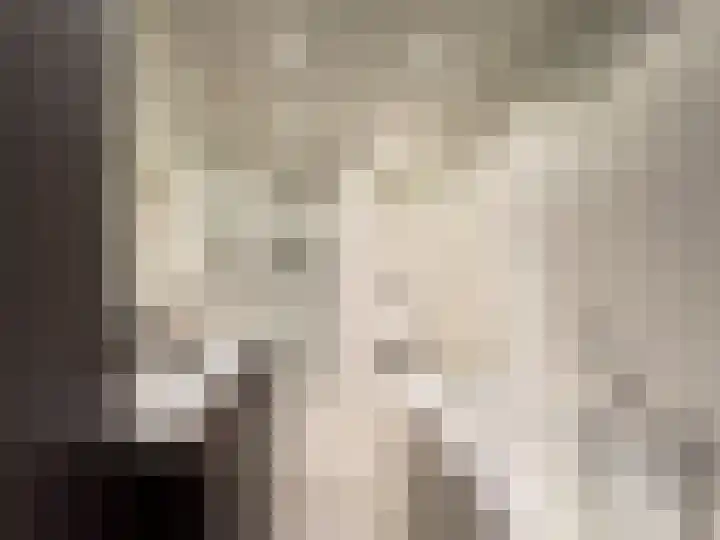 Padakkers 4 Hoogeloon thumbnail 21